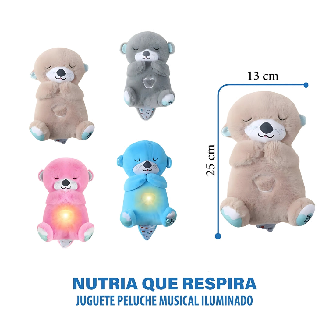 Dulce Nutria que respira