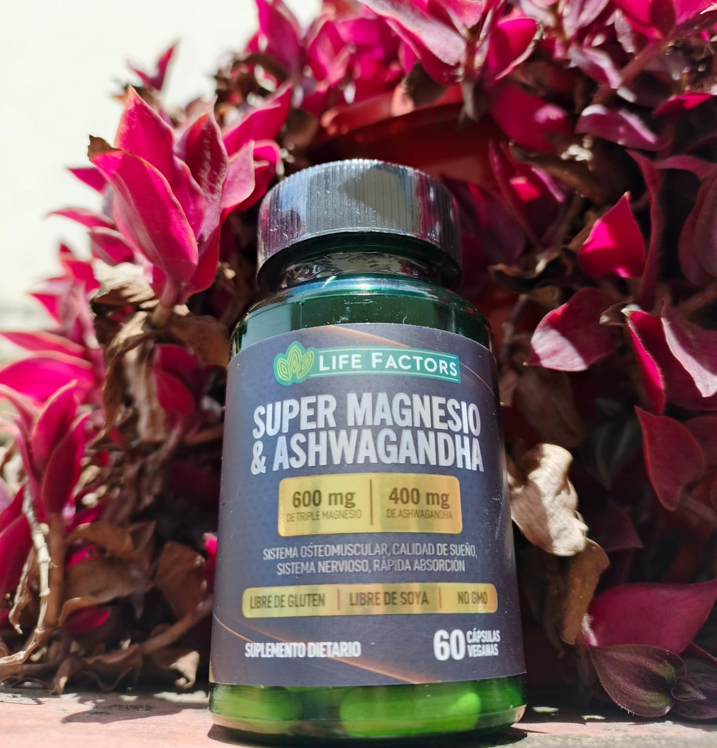 Super Magnesio & Ashwagandha™: Calma tu mente y fortalece tus músculos