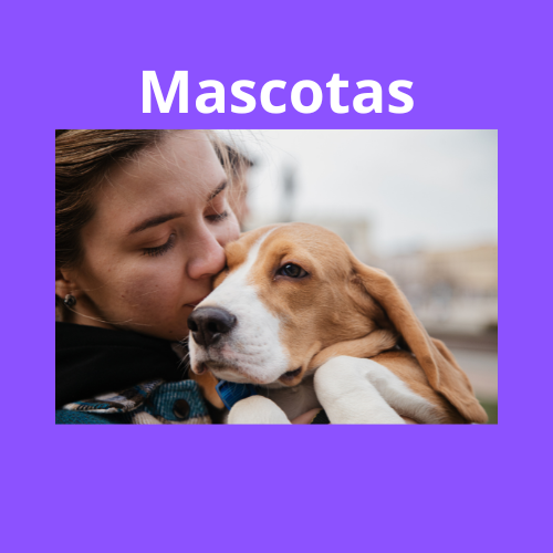 Mascotas