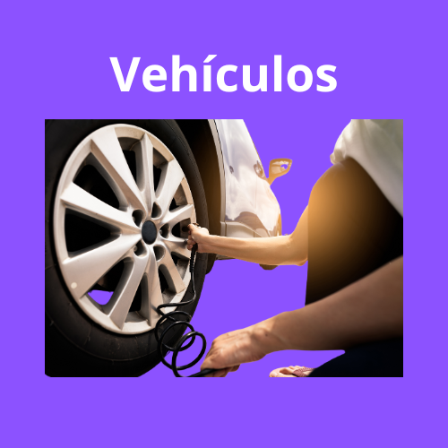 Vehiculos