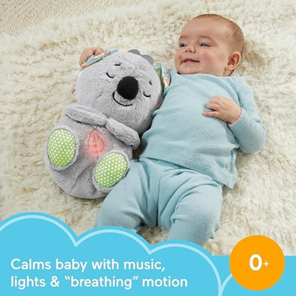 Tierno Koala que respira