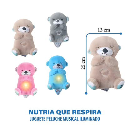 Dulce Nutria que respira