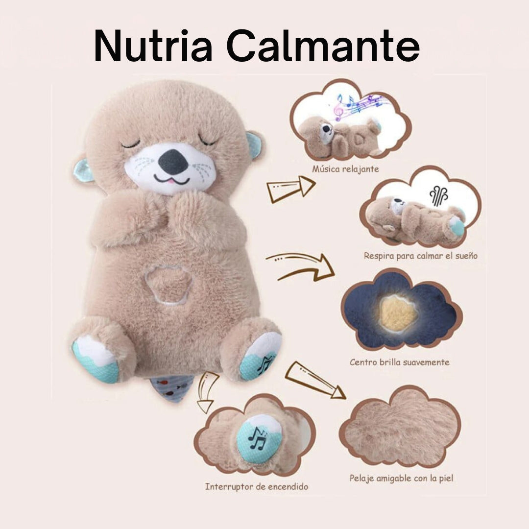Dulce Nutria que respira